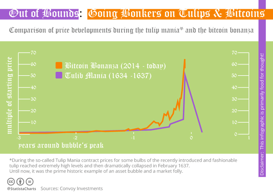 bitcoin-tulip.png