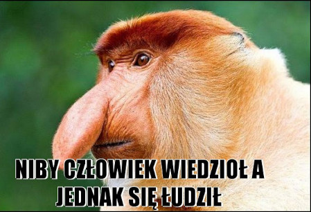 niby-czlowiek-wiedziol.jpg